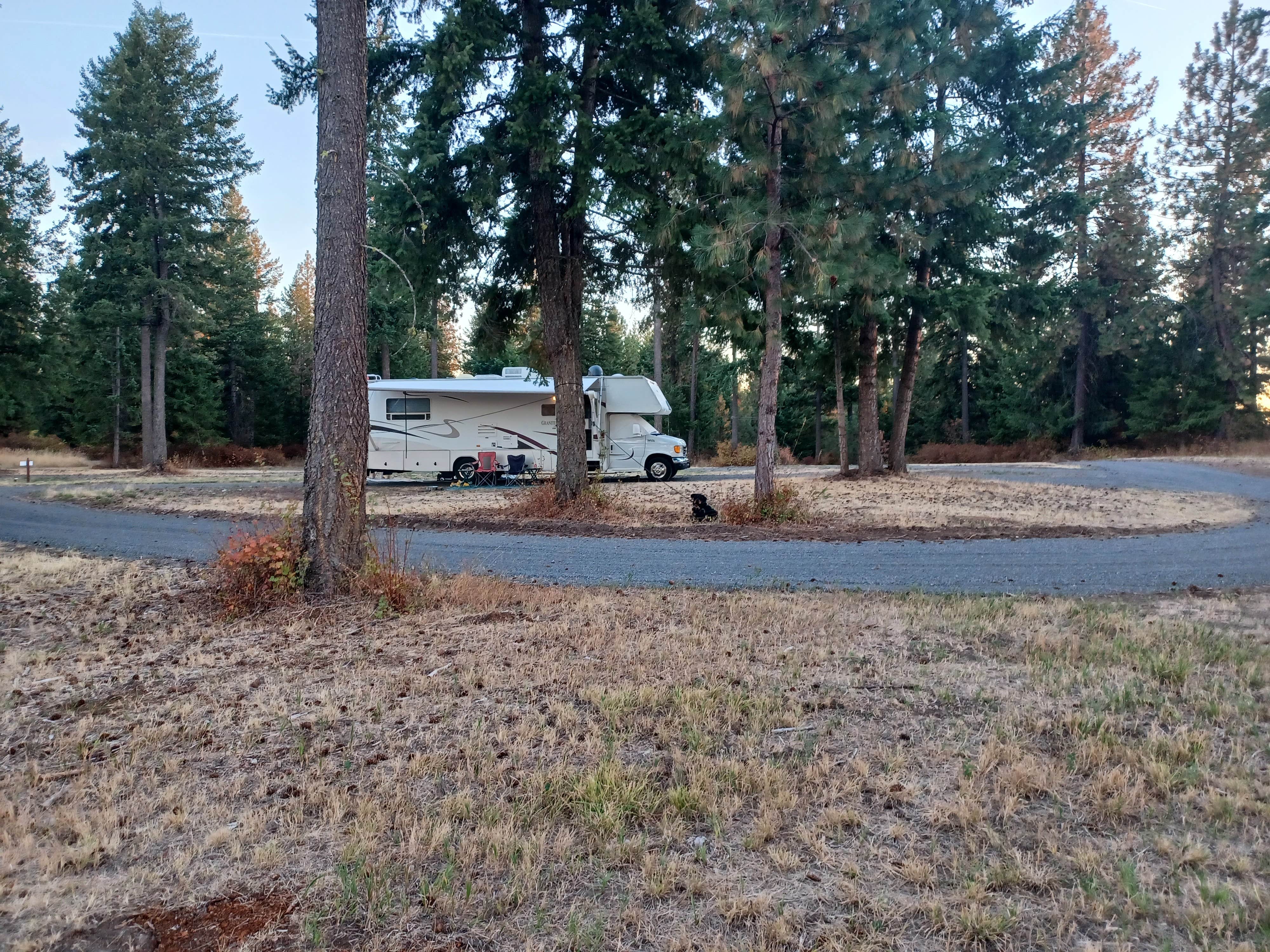 kenneth K.'s photo of camping with pets at Bergsparken RV Park near Coeur d'Alene, ID