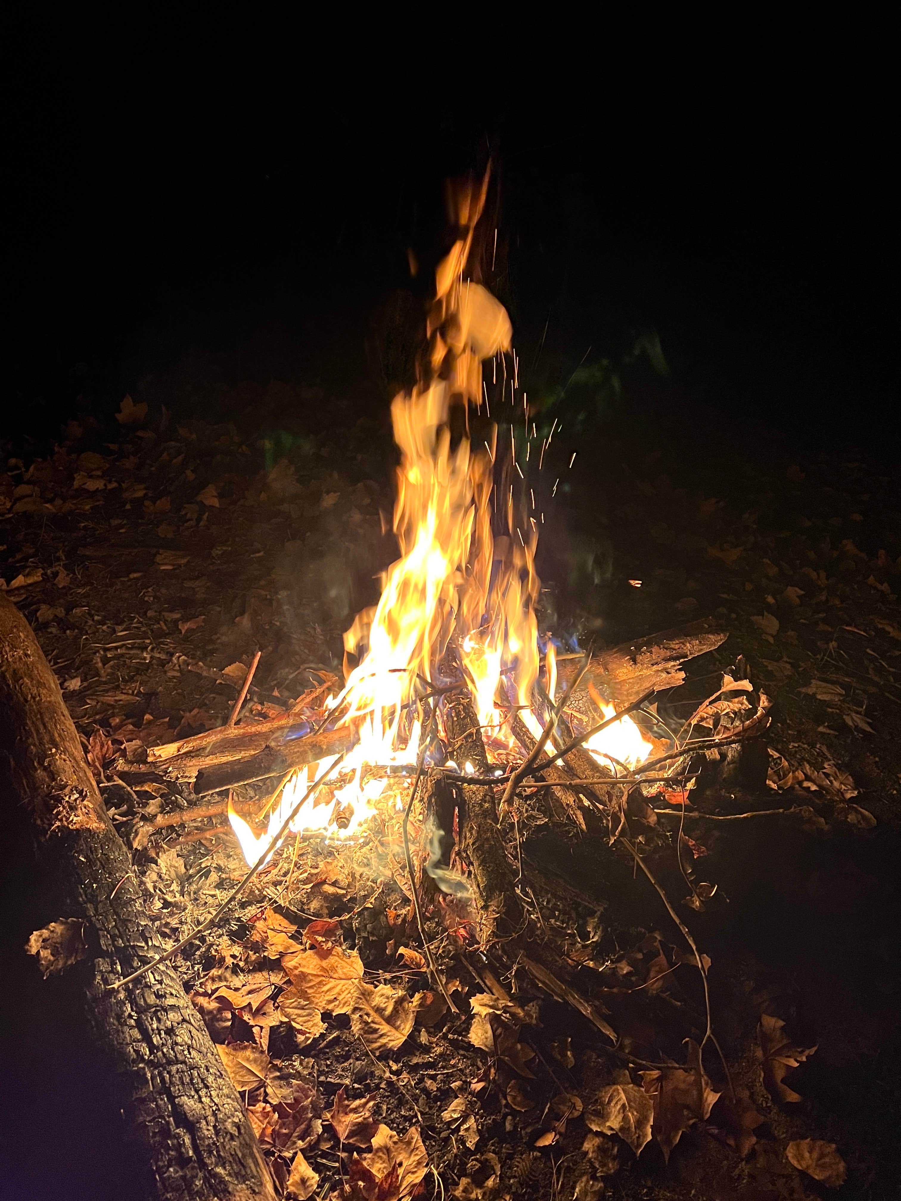 Camper-submitted photo at Berry Ridge Road - Dispersed Camping near Avon, IN
