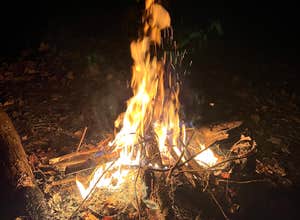 Berry Ridge Road - Dispersed Camping