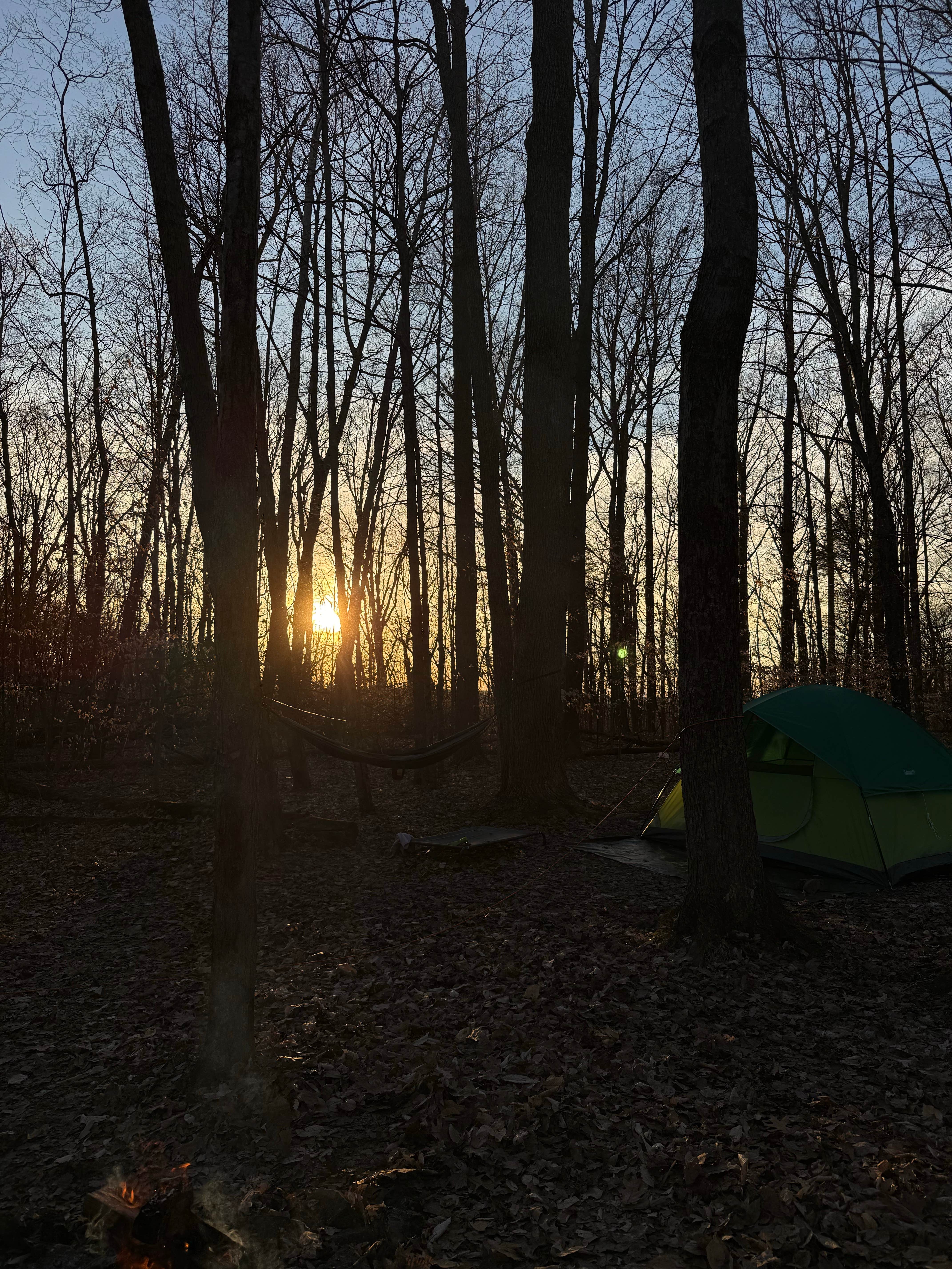 Camper-submitted photo at Berry Ridge Road - Dispersed Camping near Nashville, IN