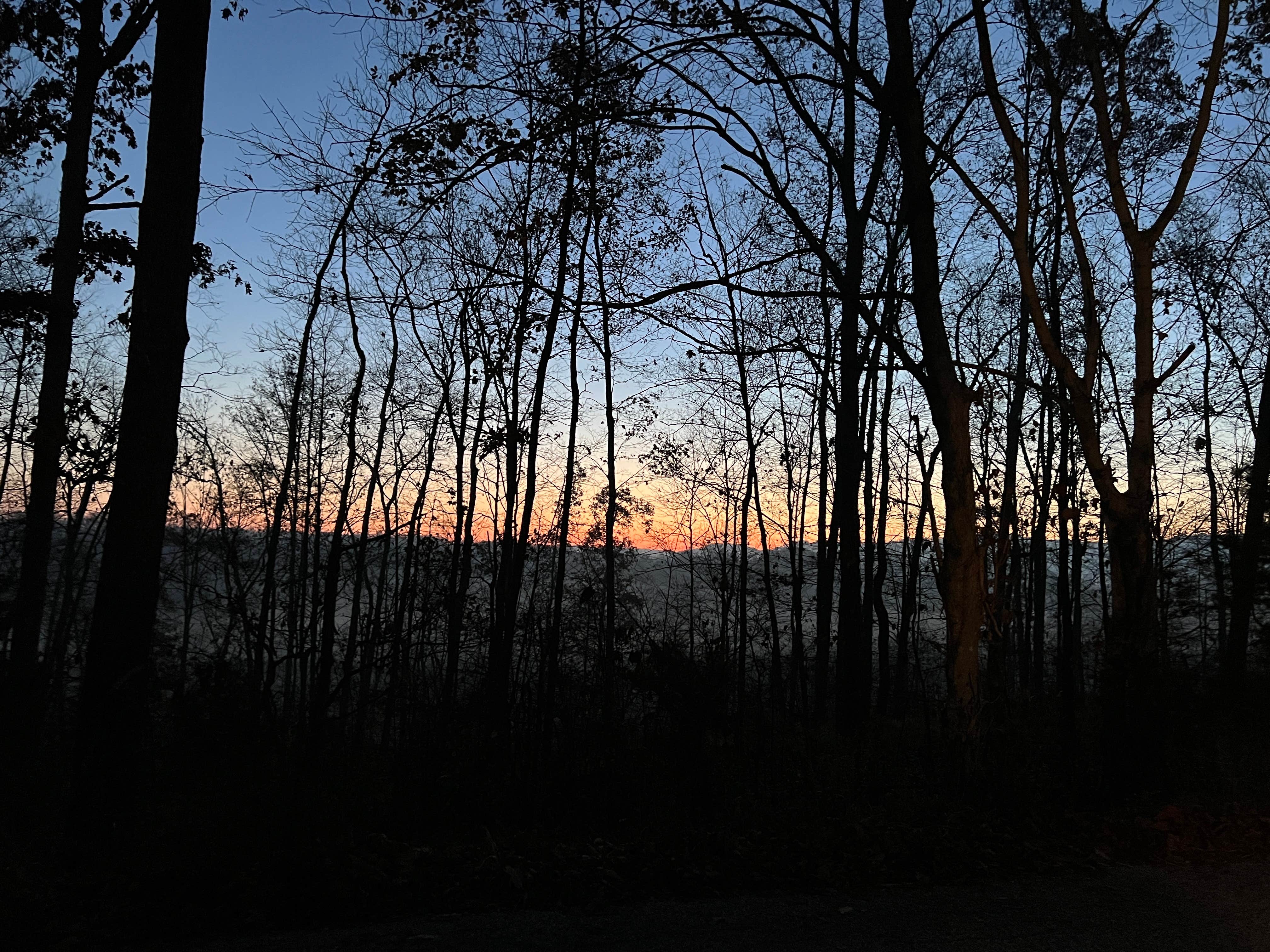April S.'s photo of a dispersed camping area at Berry Ridge Road - Dispersed Camping near Borden, IN