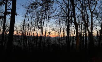 April S.'s photo of a dispersed camping area at Berry Ridge Road - Dispersed Camping near Brownstown, IN
