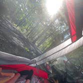 Review photo of Berry Ridge Road - Dispersed Camping by Palynn F., July 2, 2025