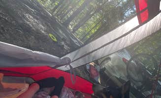 Palynn F.'s photo of tent camping at Berry Ridge Road - Dispersed Camping in Indiana