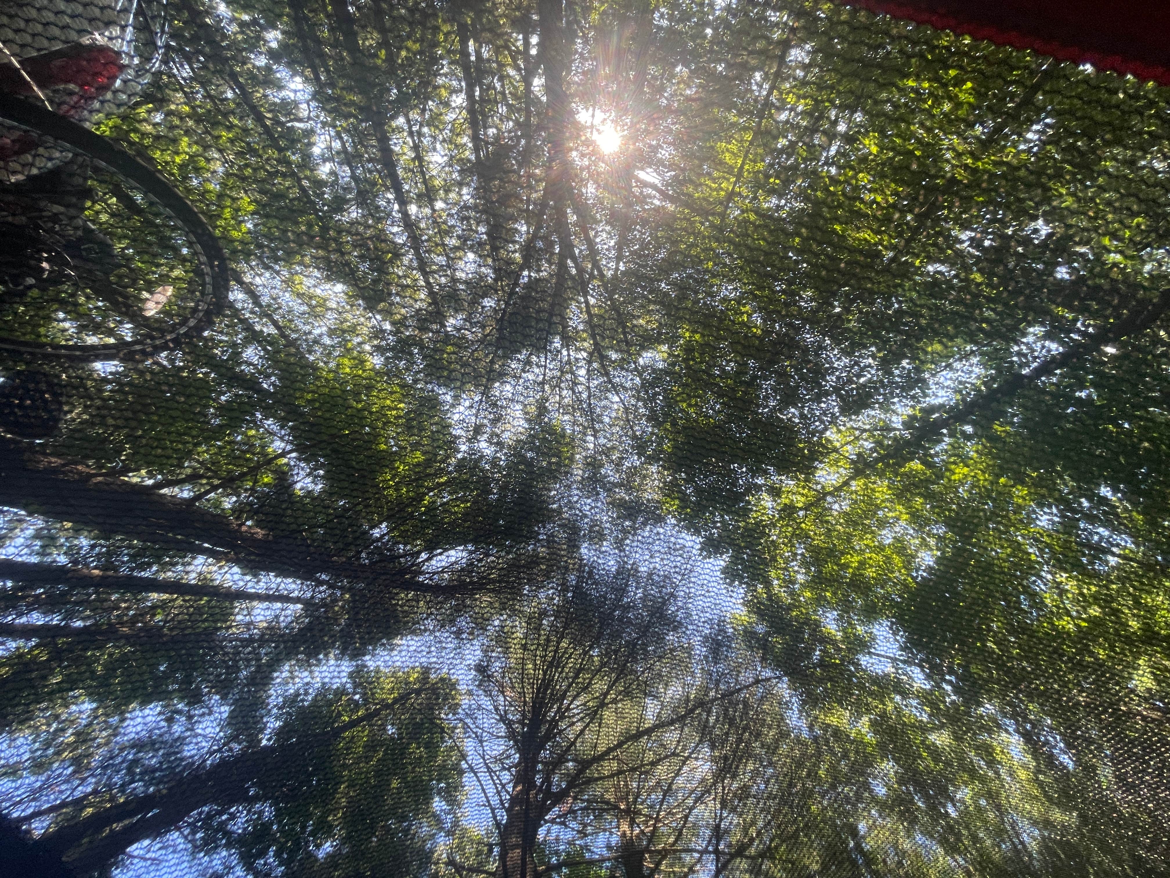 Camper-submitted photo at Berry Ridge Road - Dispersed Camping near Columbus, IN