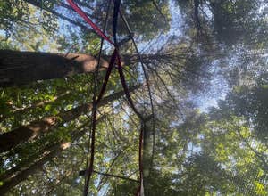 Berry Ridge Road - Dispersed Camping