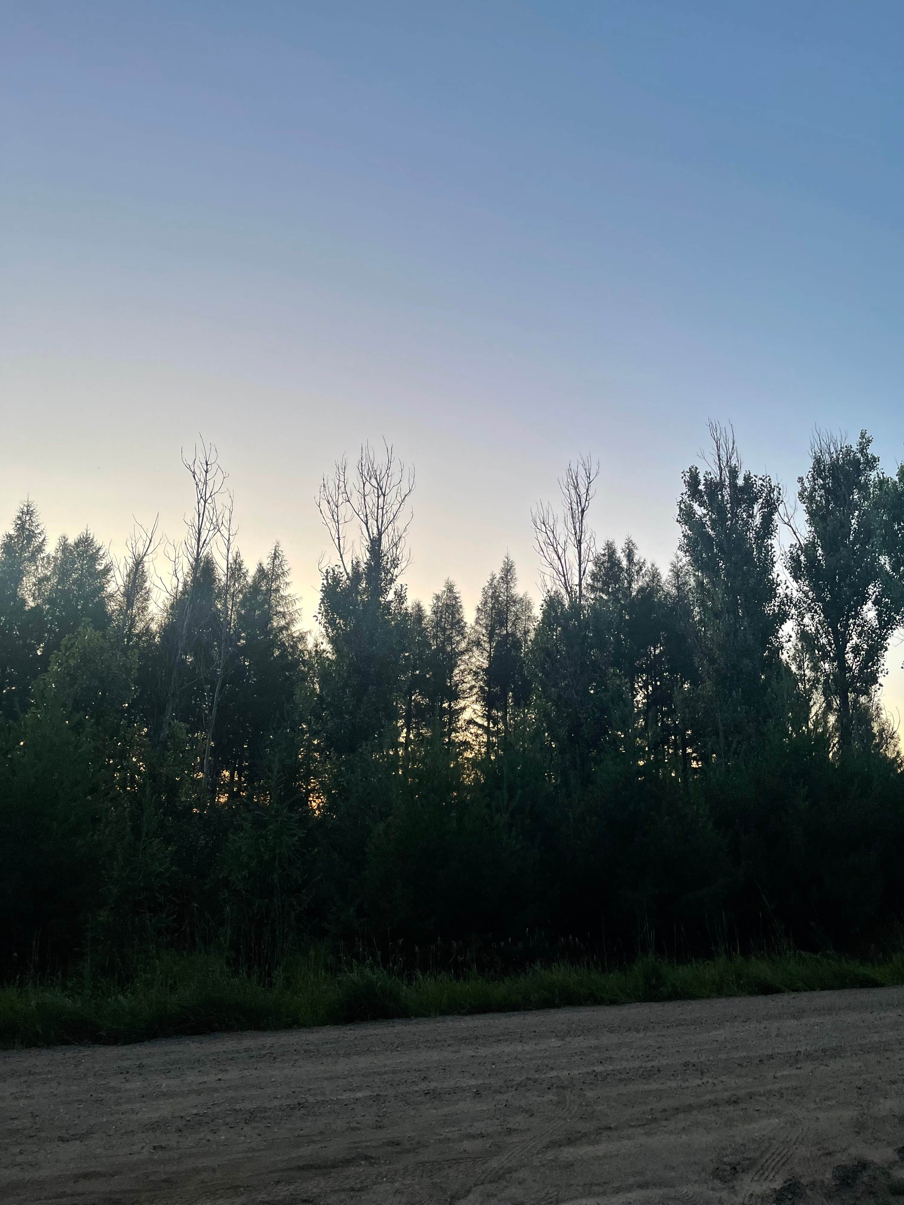 samuel C.'s photo of a dispersed camping area at Berry Ridge Road - Dispersed Camping near Avon, IN