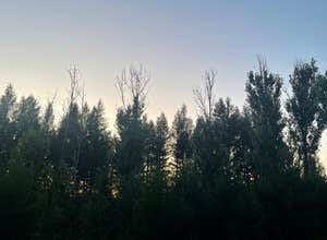 Berry Ridge Road - Dispersed Camping