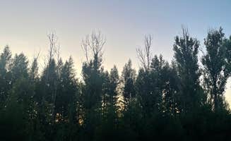 samuel C.'s photo of a dispersed camping area at Berry Ridge Road - Dispersed Camping near New Pekin, IN