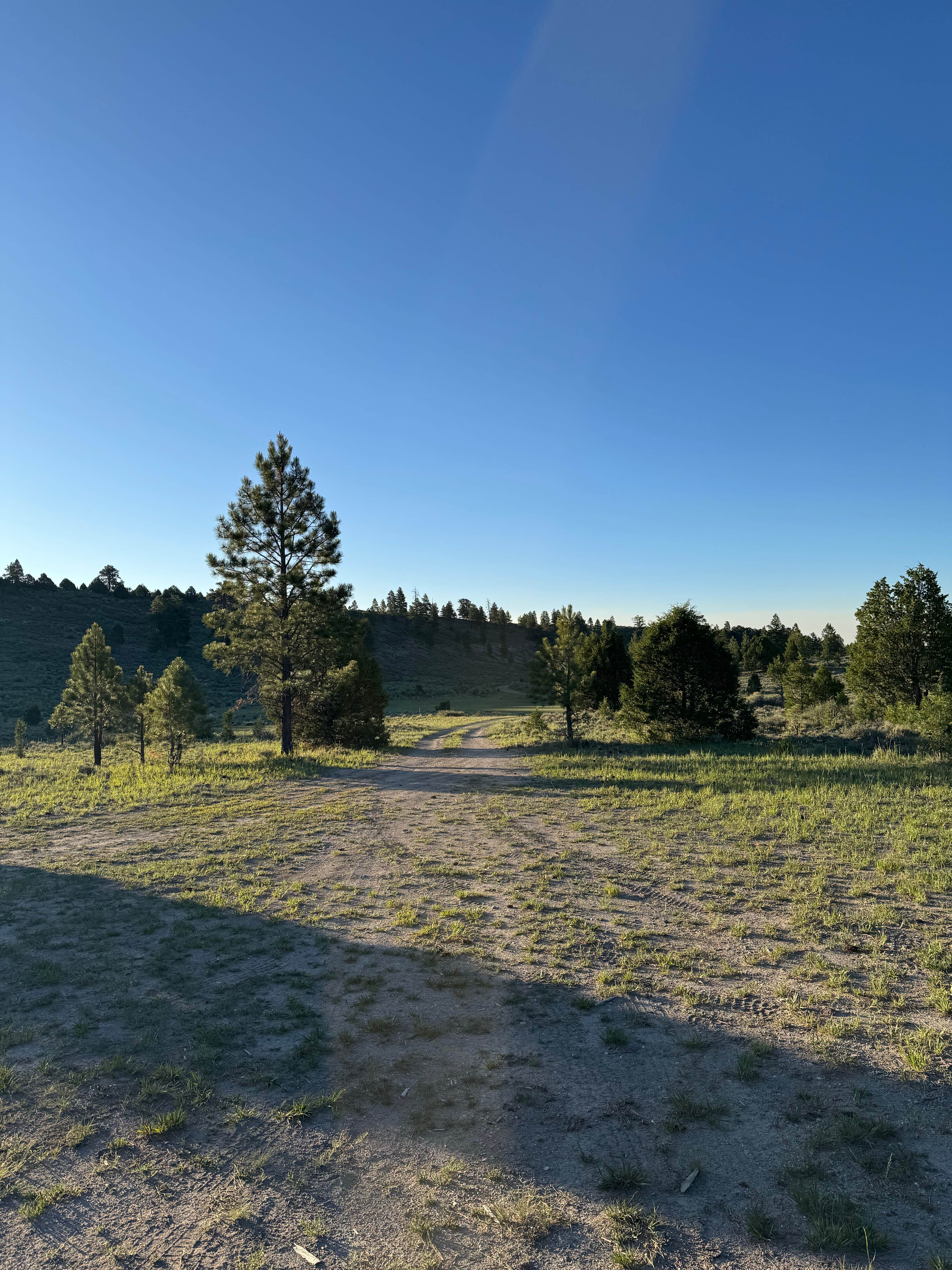 Camping near FR646 - Bryce Dispersed Site: Berry Spring Creek, Panguitch, Utah