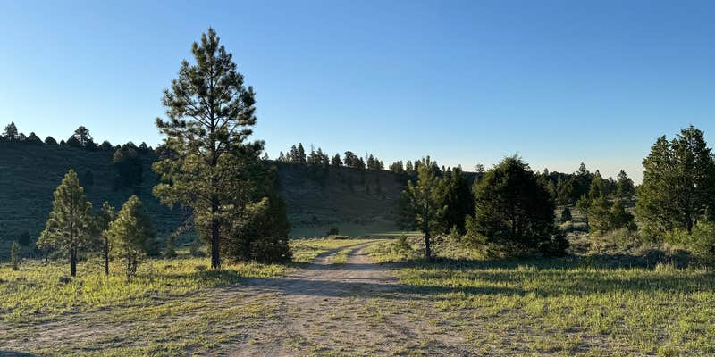 Camper submitted image from Berry Spring Creek