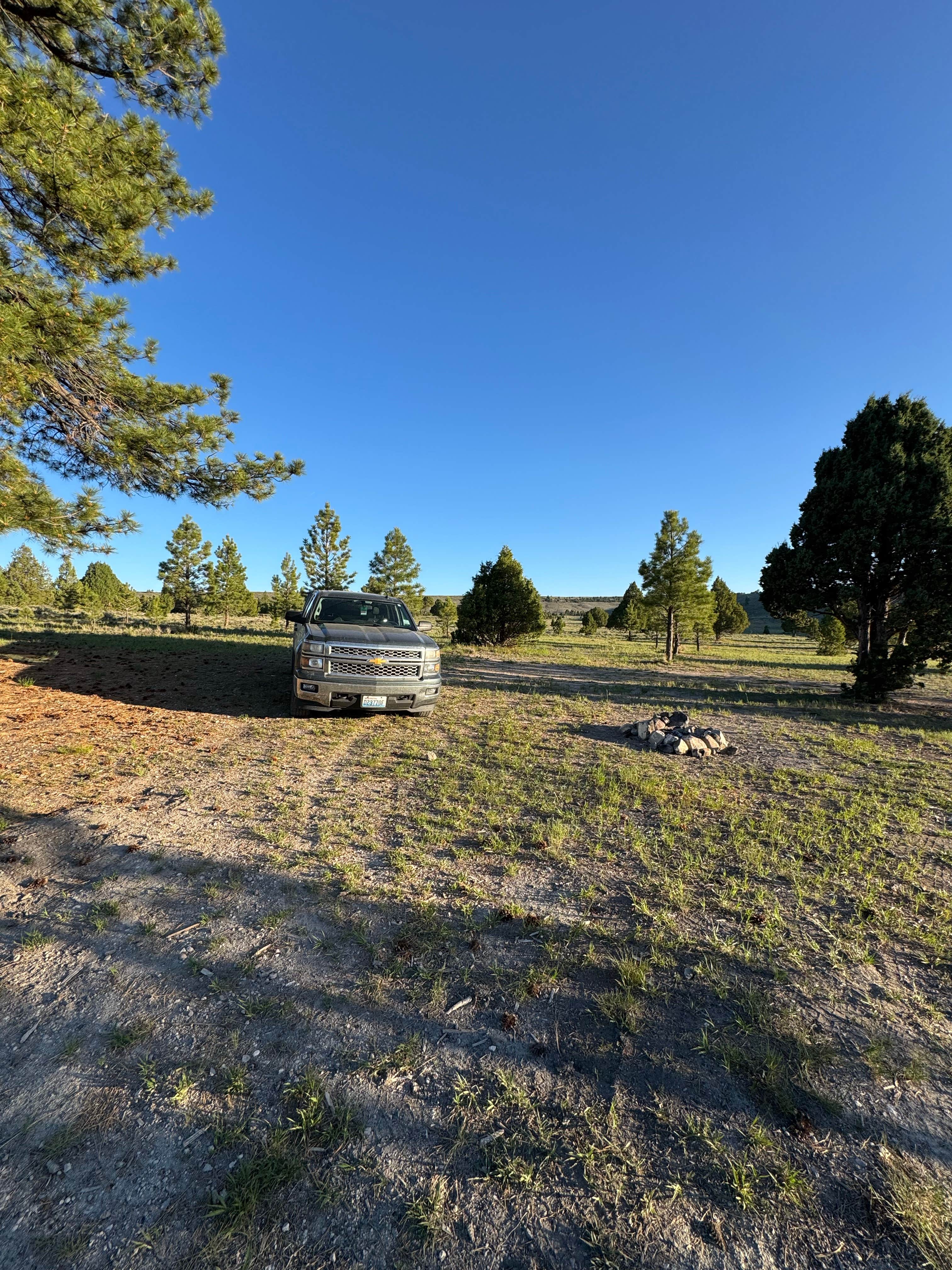 Camper submitted image from Berry Spring Creek - 2