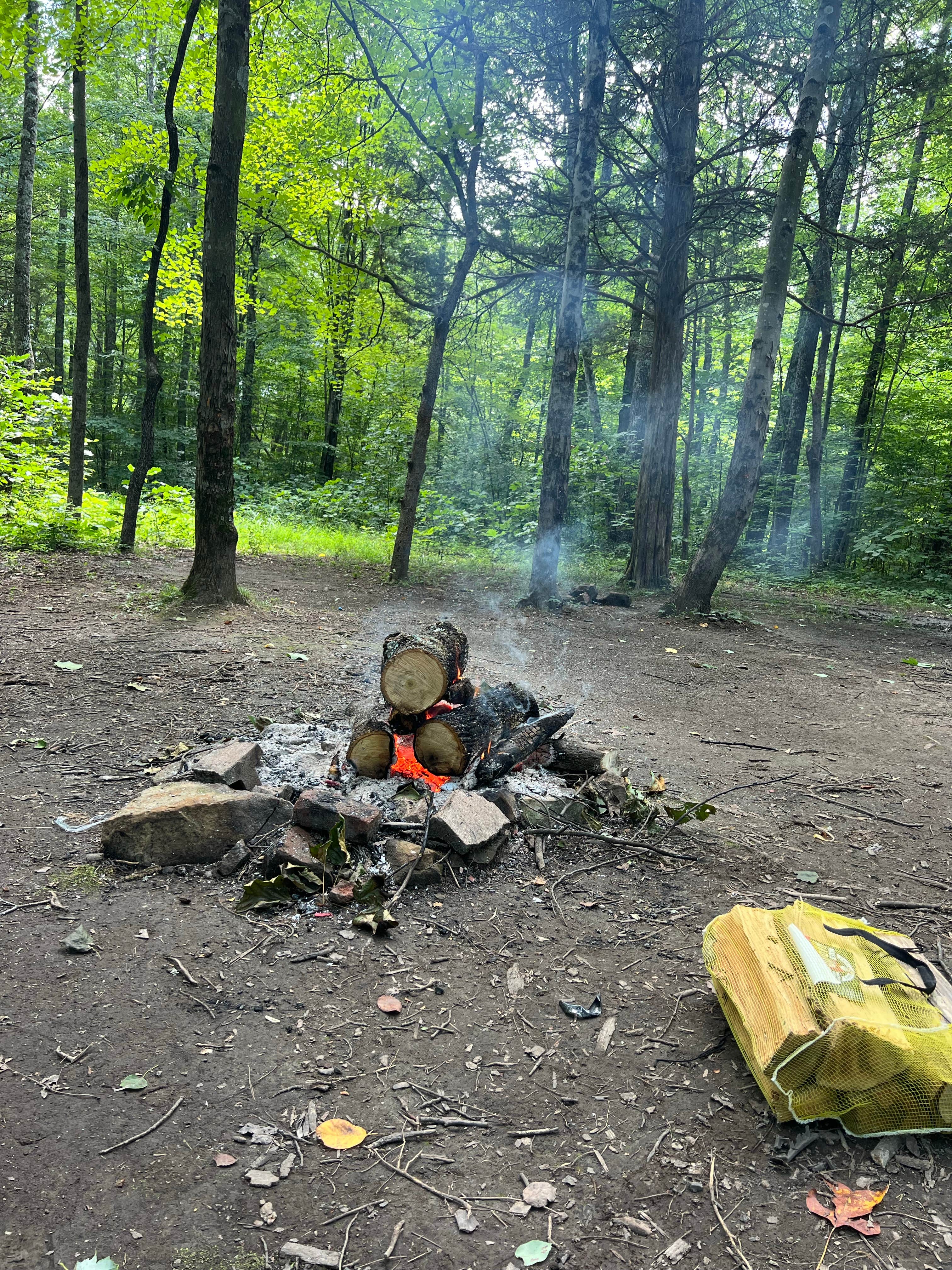 Camping near eXplore Brown County: BerryRidge Road Dispersed Camping, Freetown, Indiana