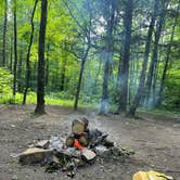 Review photo of BerryRidge Road Dispersed Camping by David S., August 2, 2025