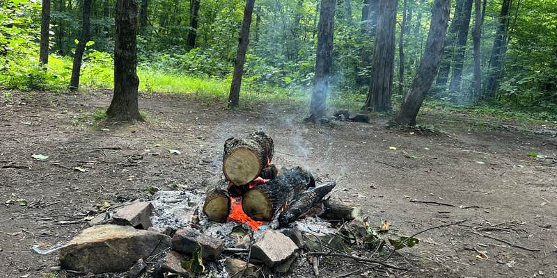 Camper submitted image from BerryRidge Road Dispersed Camping