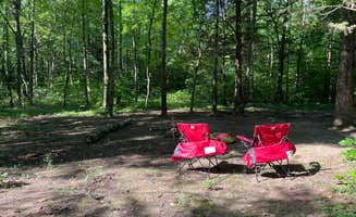 David S.'s photo at BerryRidge Road Dispersed Camping near Monroe Lake