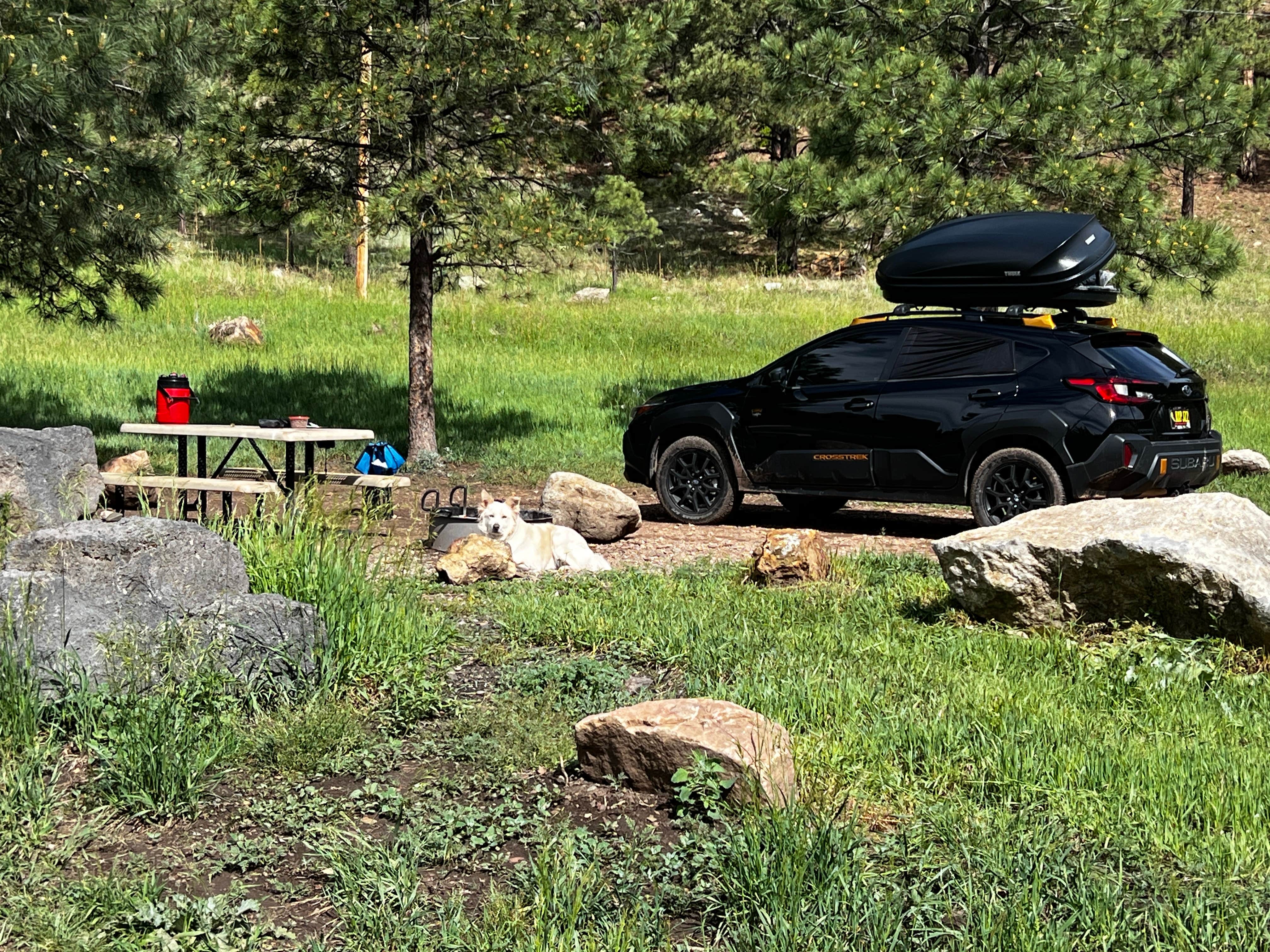 Bert Clancy Campground — Pecos Canyon State Park