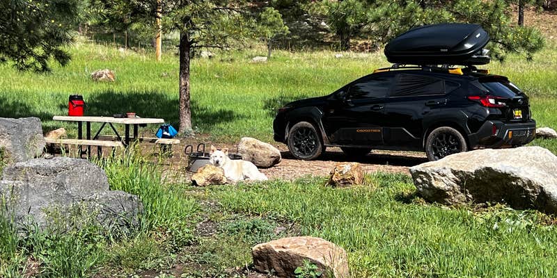 Camper submitted image from Bert Clancy Campground — Pecos Canyon State Park