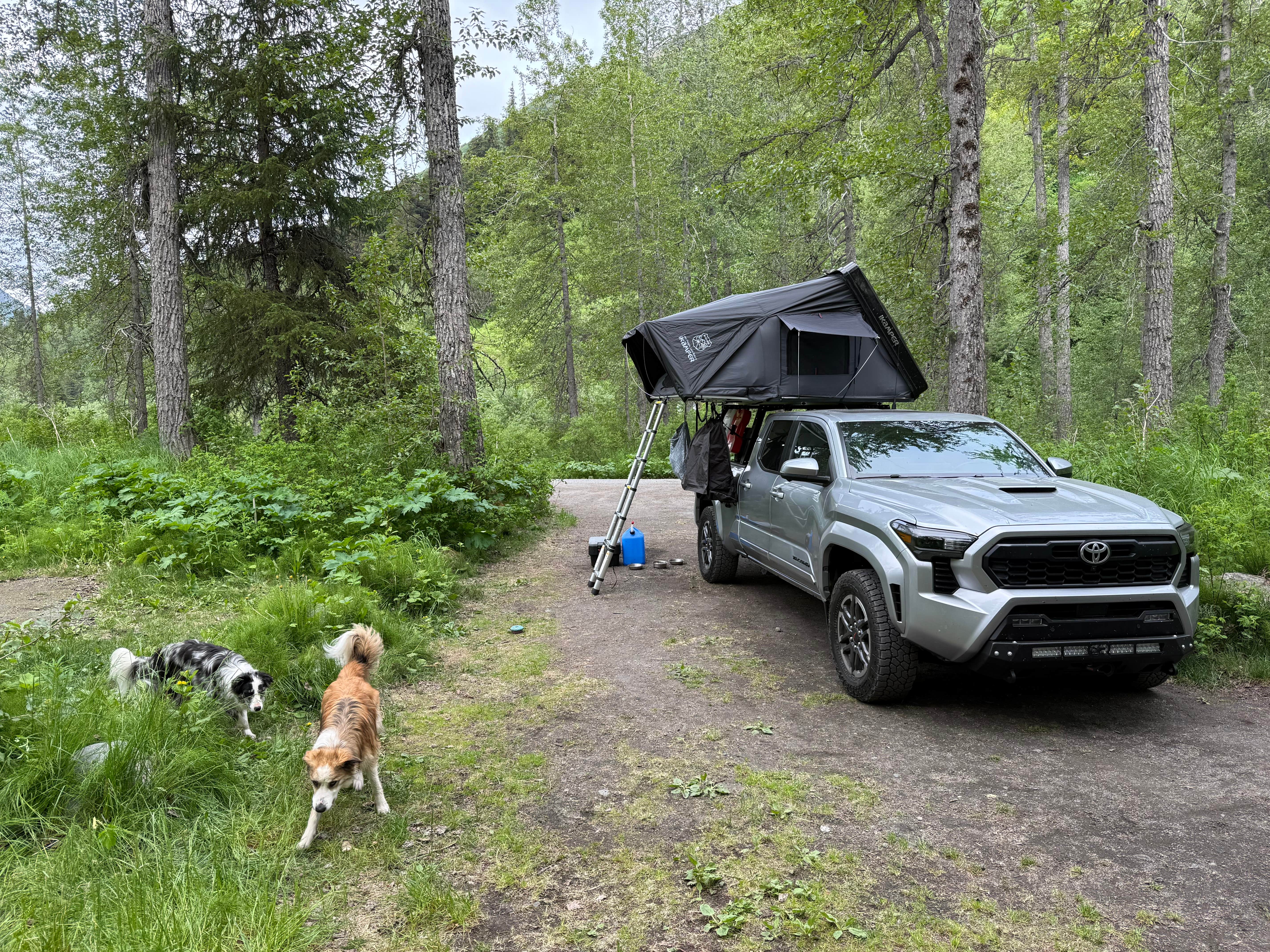 Camper-submitted photo at Bertha Creek Campground — Chugach National Forest near Hope, AK