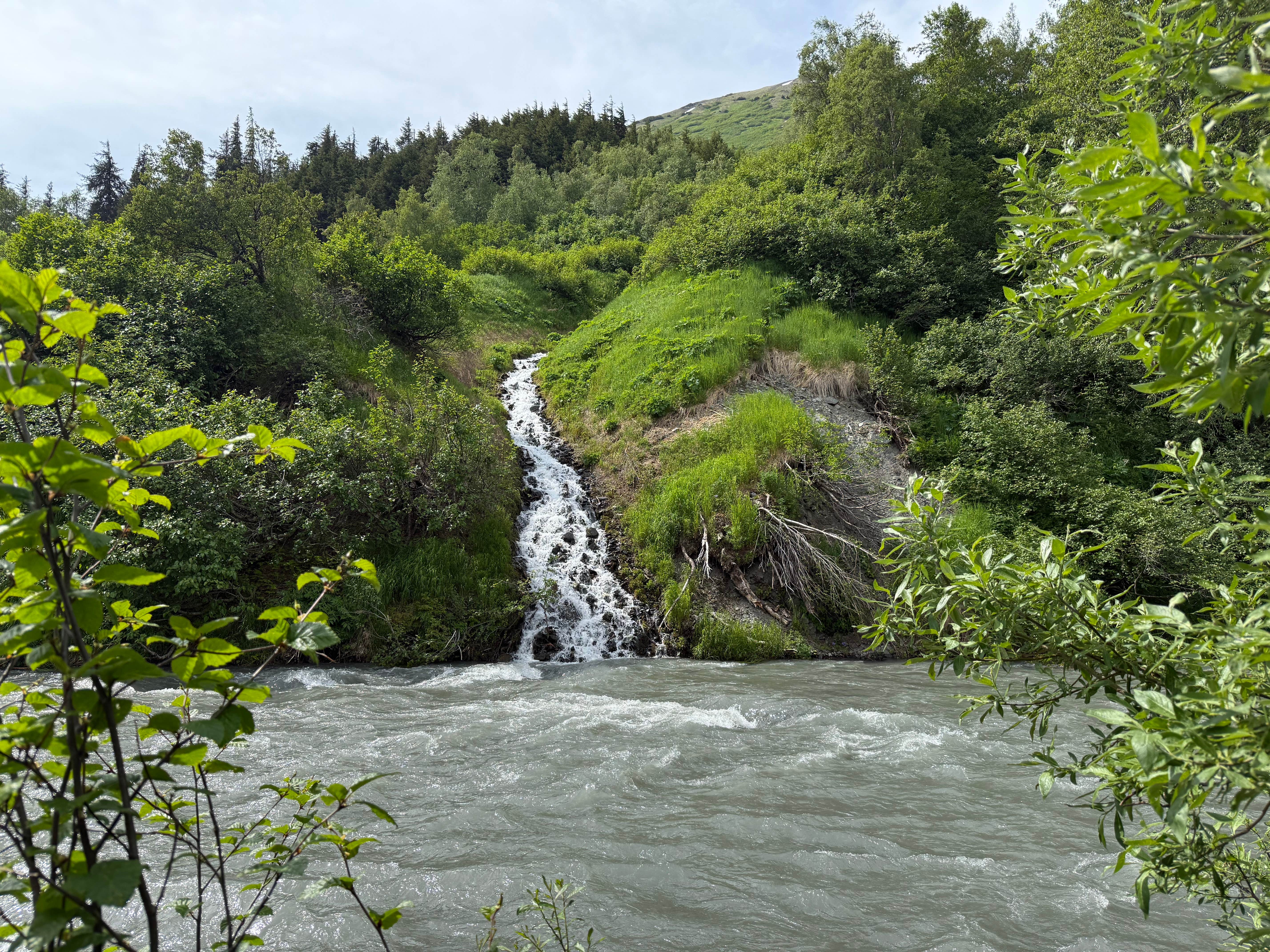 Camper-submitted photo at Bertha Creek Campground — Chugach National Forest near Hope, AK