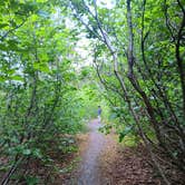 Review photo of Bertha Creek Campground — Chugach National Forest by Brian J., July 8, 2025