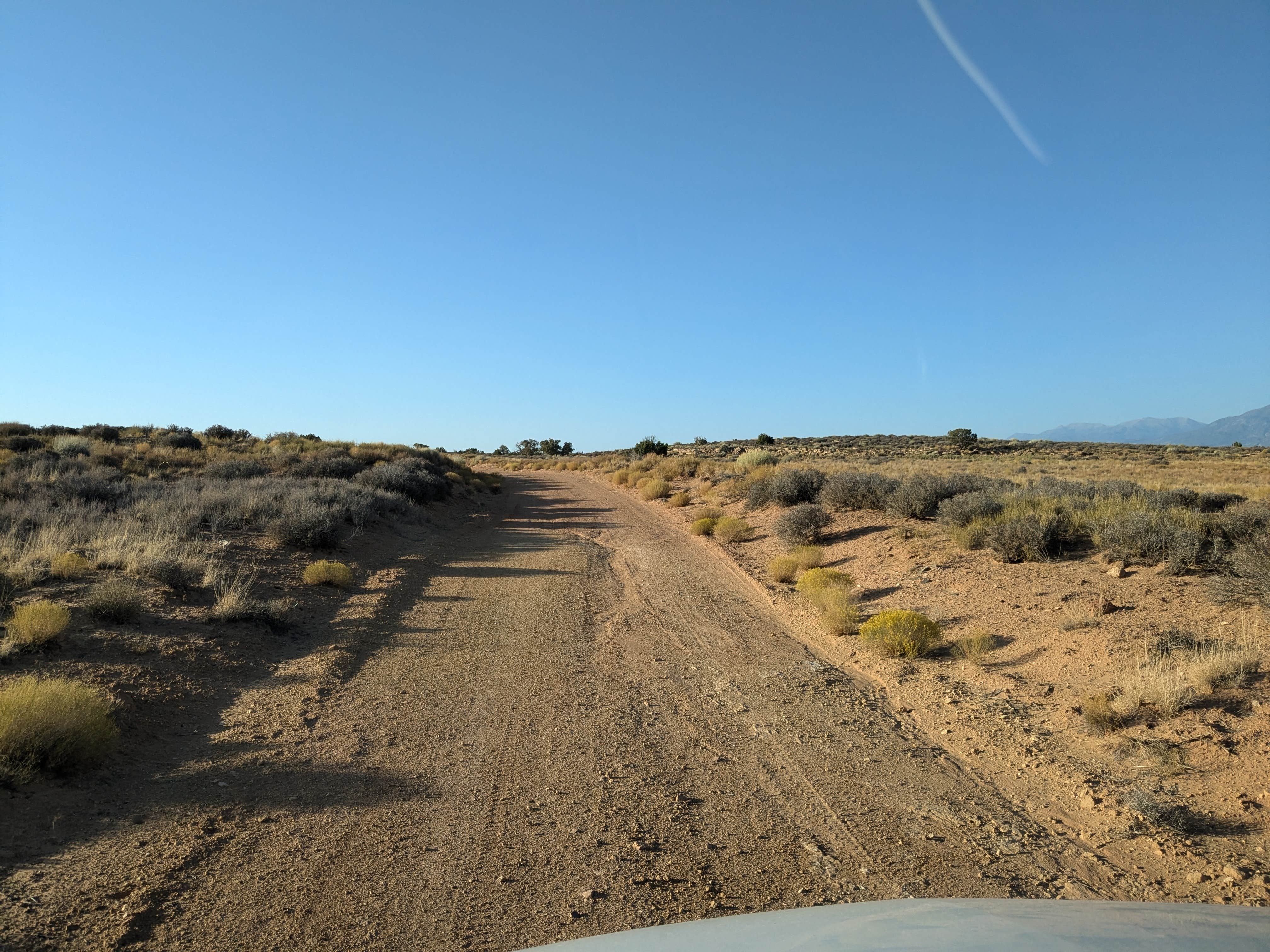 Camper submitted image from beside the road shade of a tree - 1