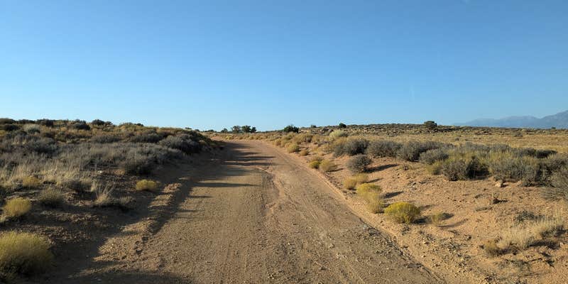Camper submitted image from Shade Tree Dispersed Pull Off