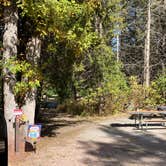 Review photo of Bessey Recreation Complex Campground by Roger W., October 5, 2024