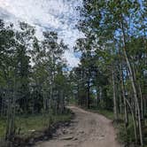 Review photo of 'Best Damn Camp' on Peak to Peak Highway by Miranda M., July 26, 2026