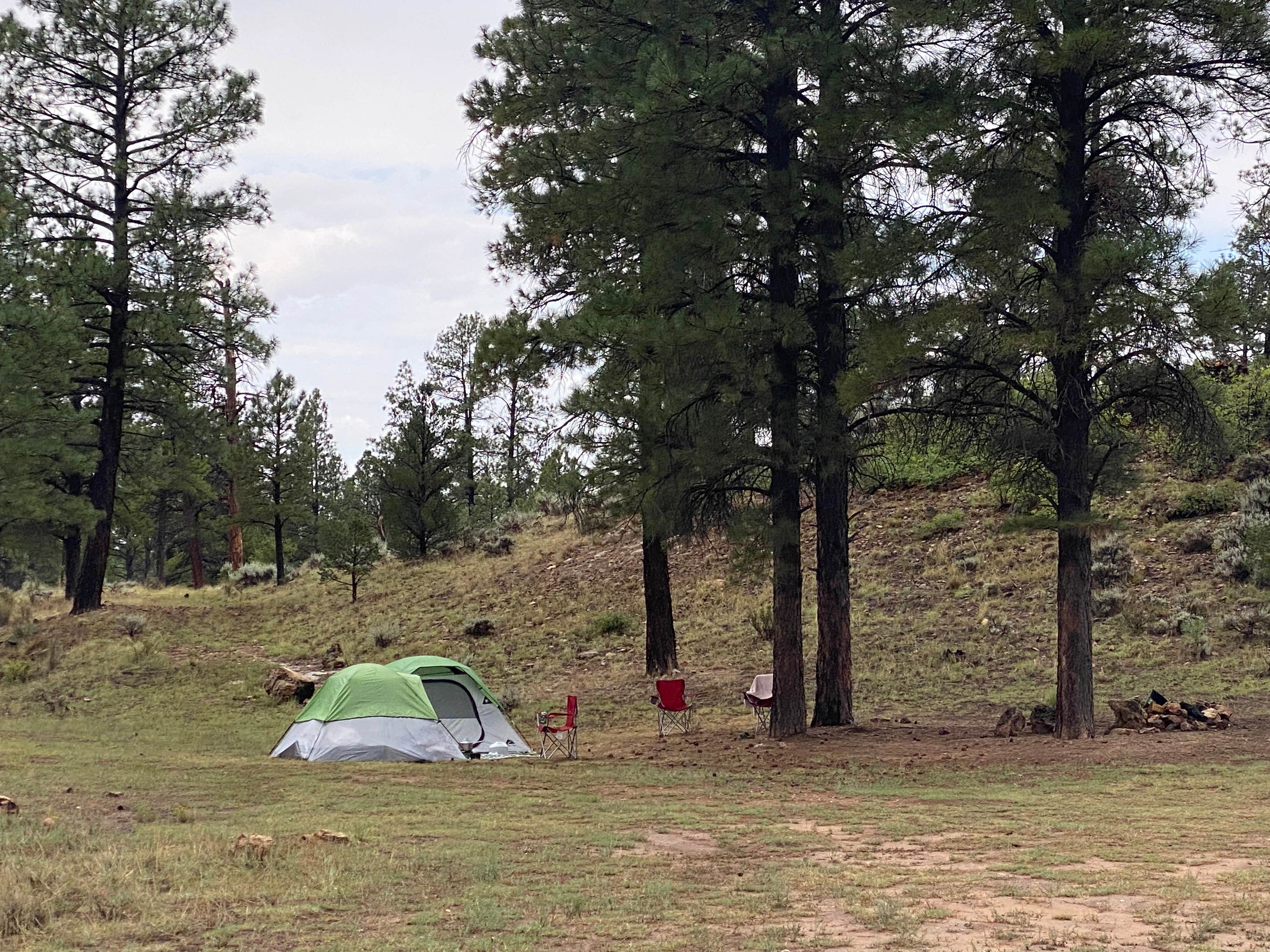 Kelly M.'s photo of a dispersed camping area at best dispersed camping for Grand Canyon near Tuba City, AZ