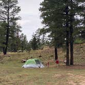 Review photo of best dispersed camping for Grand Canyon by Kelly M., September 3, 2025