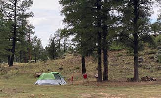 Kelly M.'s photo of a dispersed camping area at best dispersed camping for Grand Canyon near Tuba City, AZ