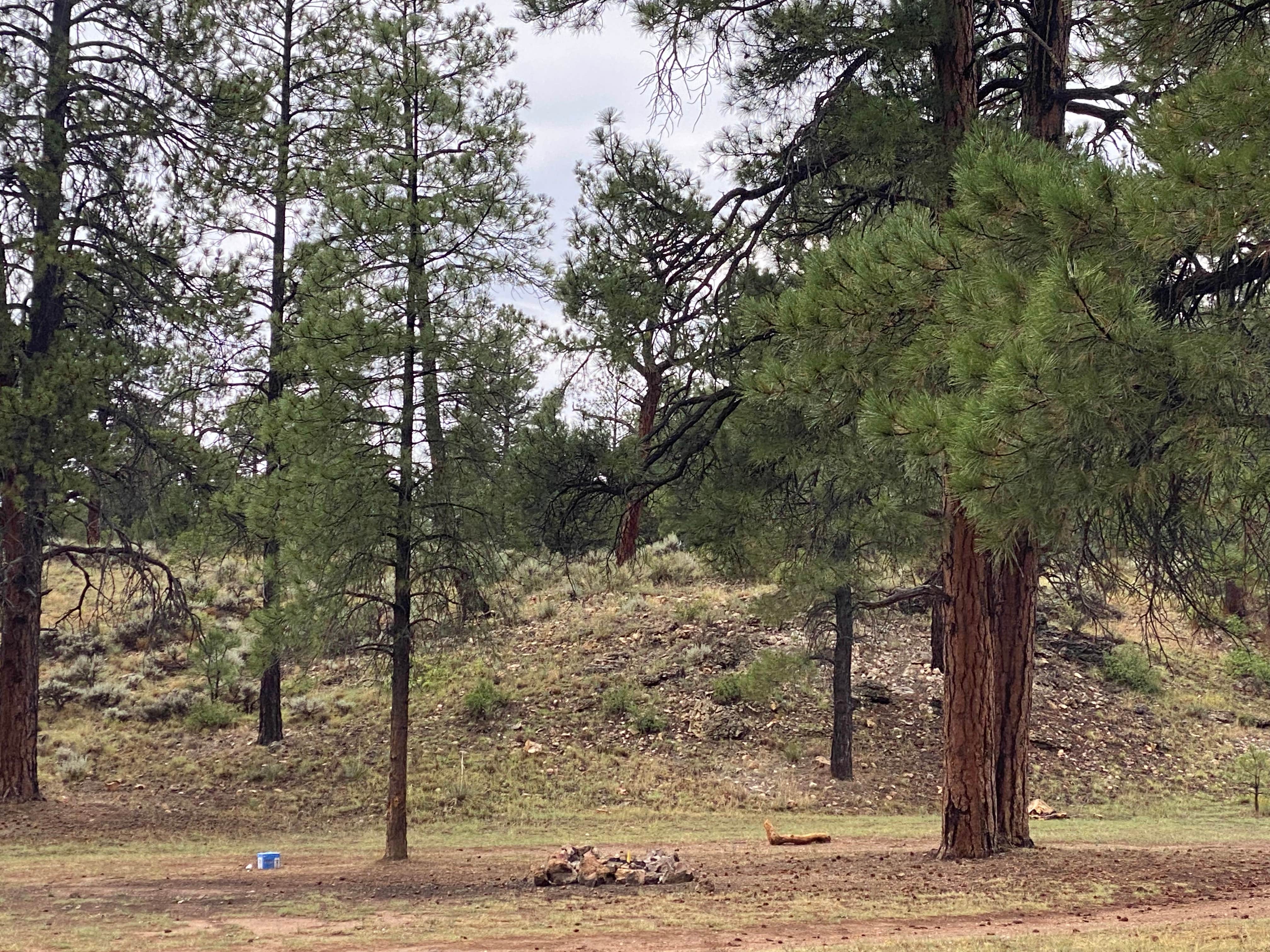 Camper submitted image from best dispersed camping for Grand Canyon - 1
