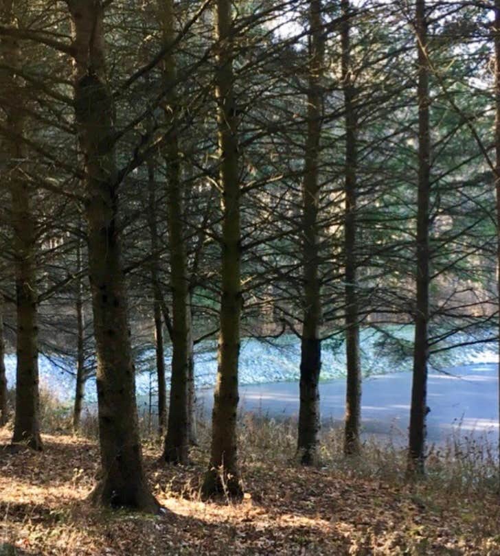 Camping near Cooperstown Shadow Brook Campground: Betty and Wilbur Davis State Park — Betty & Wilbur Davis State Park, Cooperstown, New York