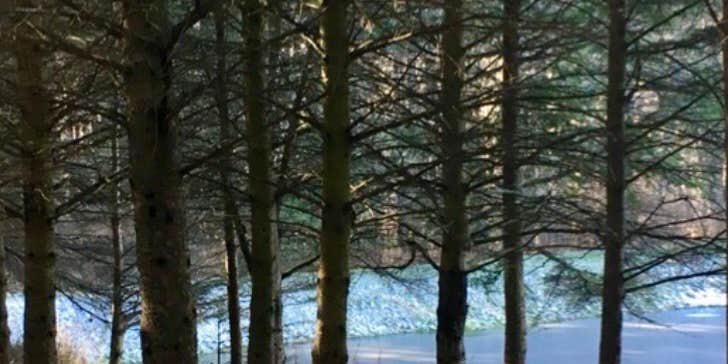 Camper submitted image from Betty and Wilbur Davis State Park — Betty & Wilbur Davis State Park