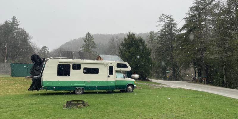 Camper submitted image from Between the Brooks Farm