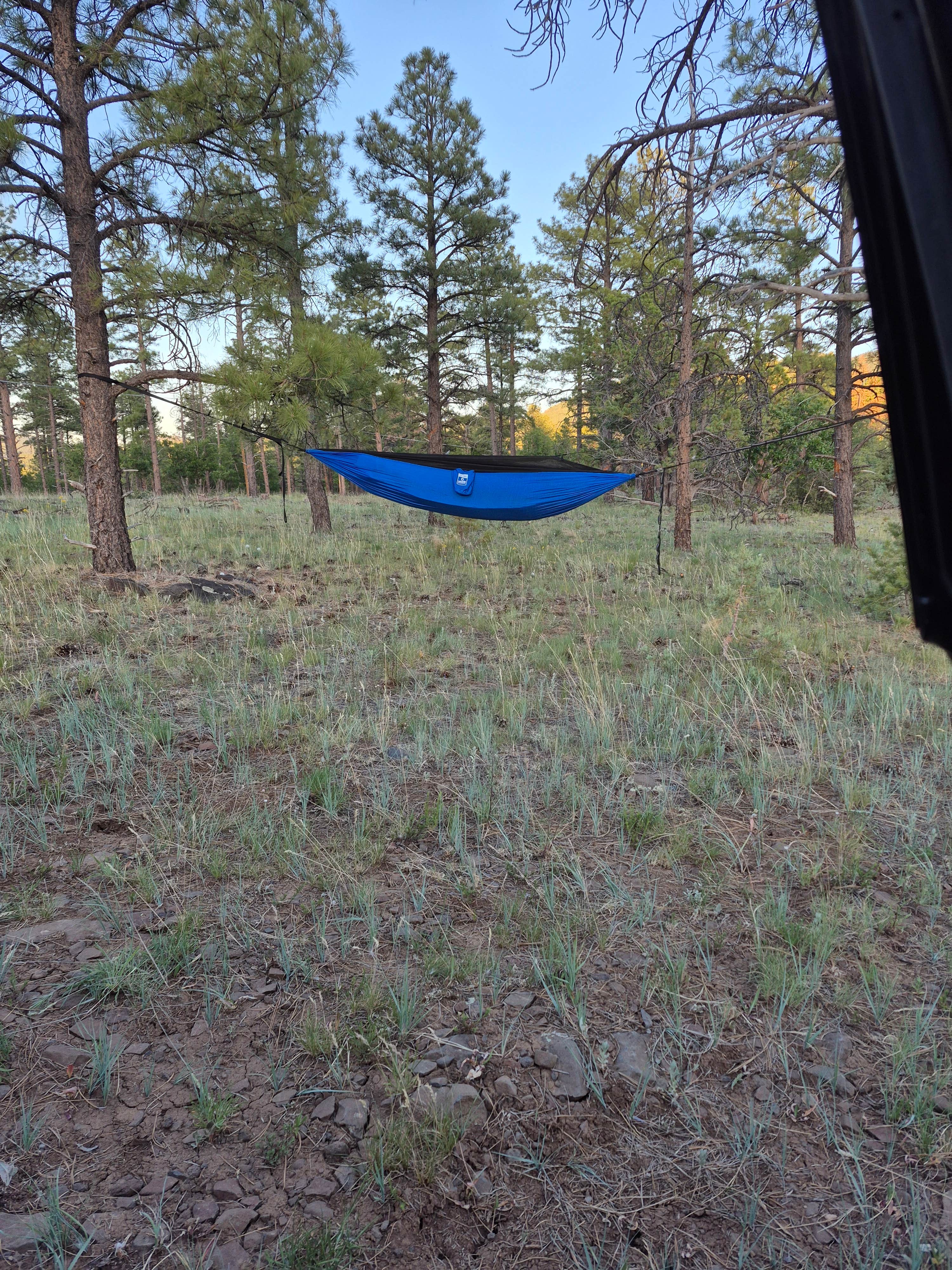 Camping near Grand Canyon RV Glamping: Coconino Dispersed Camping - between train tracks and the highway, Williams, Arizona