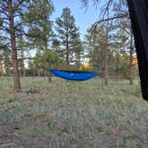 Review photo of Coconino Dispersed Camping - between train tracks and the highway by Travis H., May 21, 2026