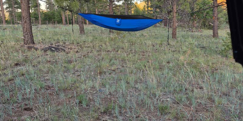 Camper submitted image from Coconino Dispersed Camping - between train tracks and the highway