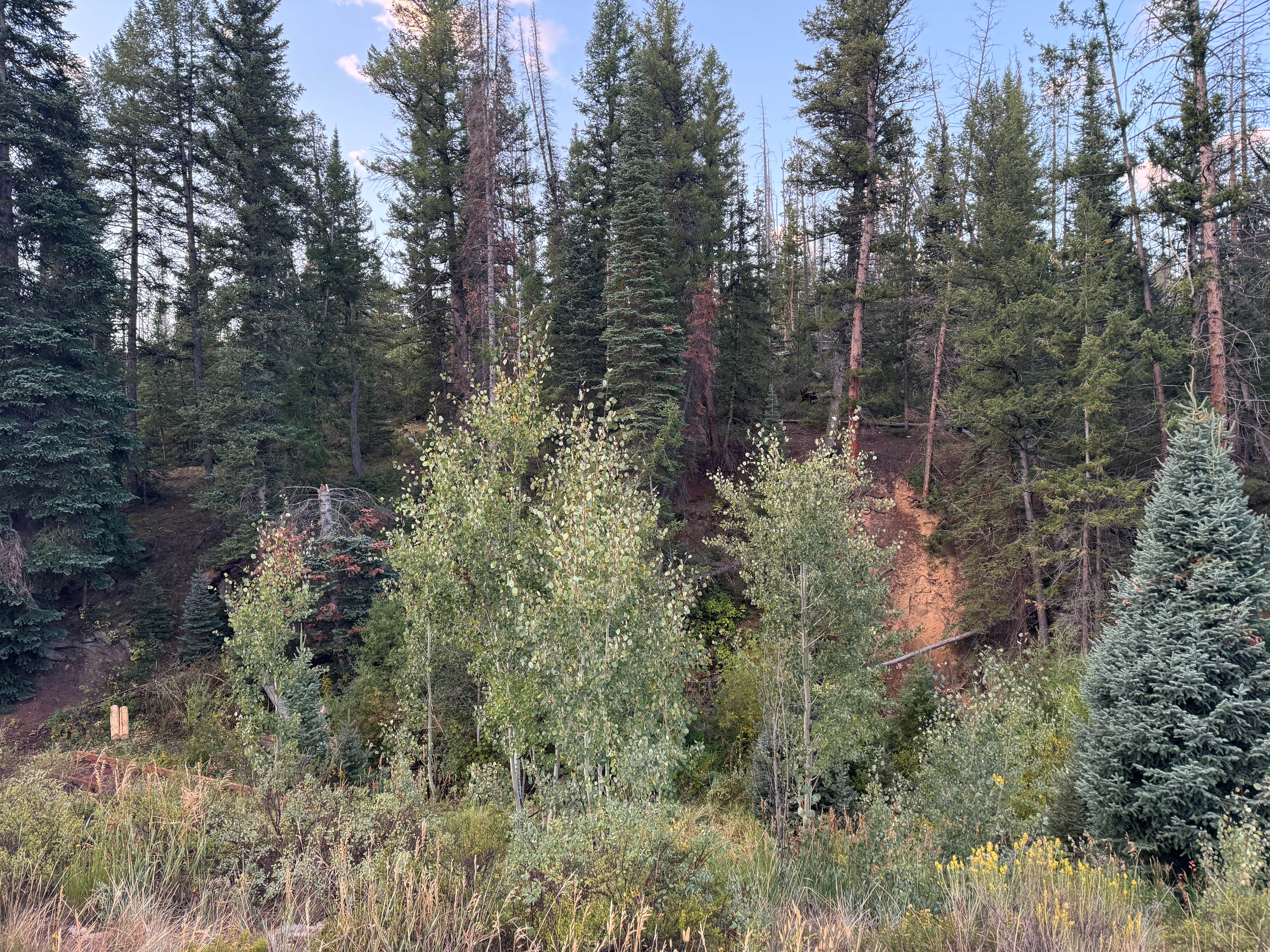 Camper-submitted photo at Bevercreek Dispersed Camping near Hot Sulphur Springs, CO