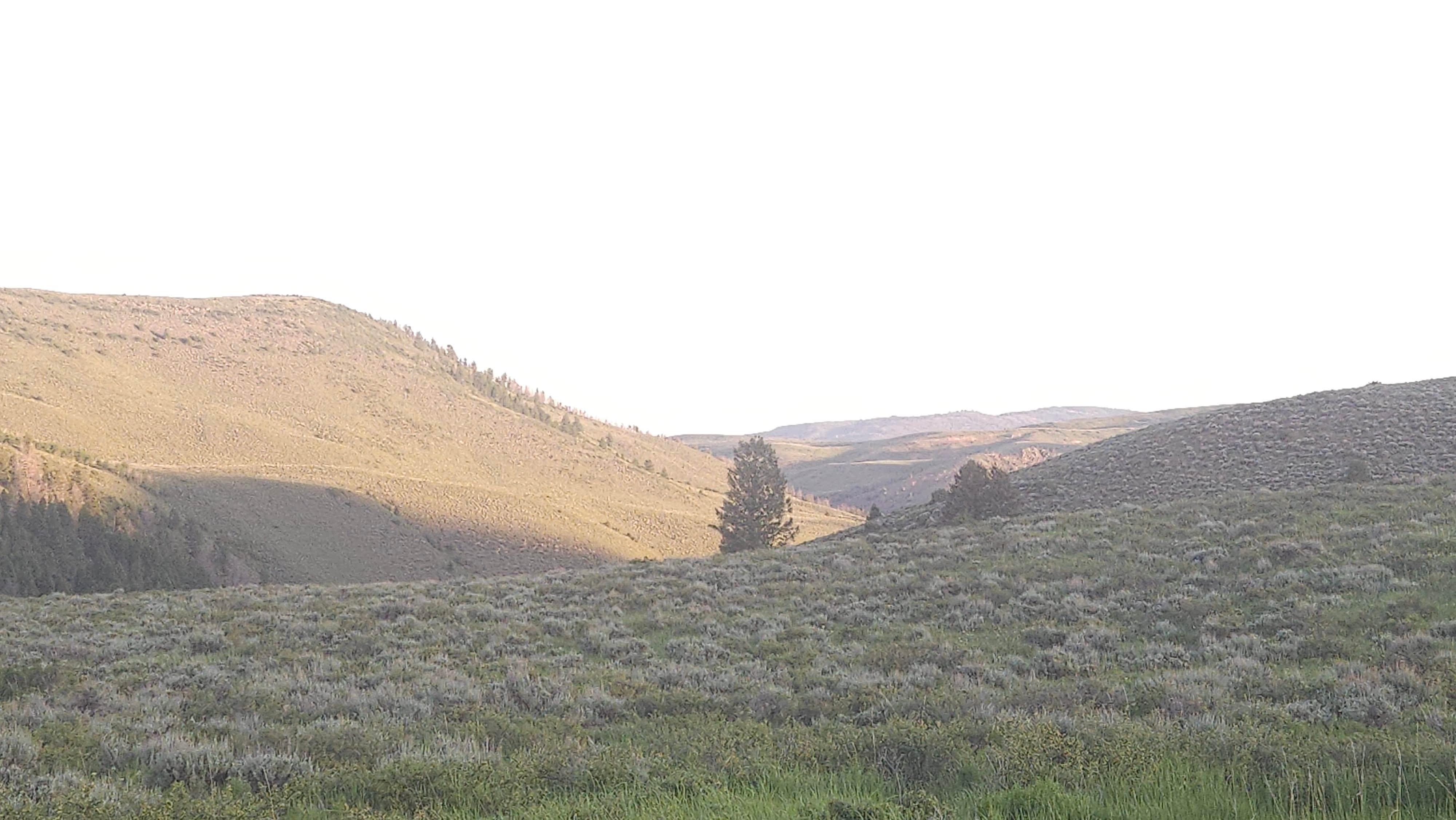 Camper submitted image from Bevercreek Dispersed Camping - 1