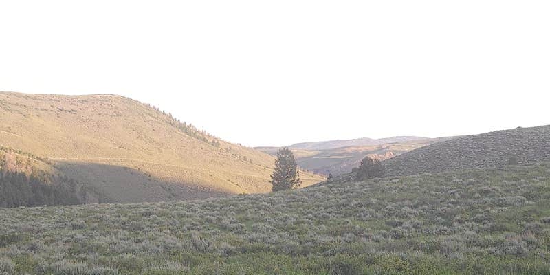 Camper submitted image from Bevercreek Dispersed Camping