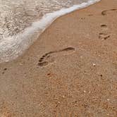 Review photo of Beverly Beach Camptown RV Resort by michael H., May 29, 2026