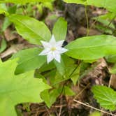 Review photo of Bewabic State Park Campground by Eric S., May 30, 2024