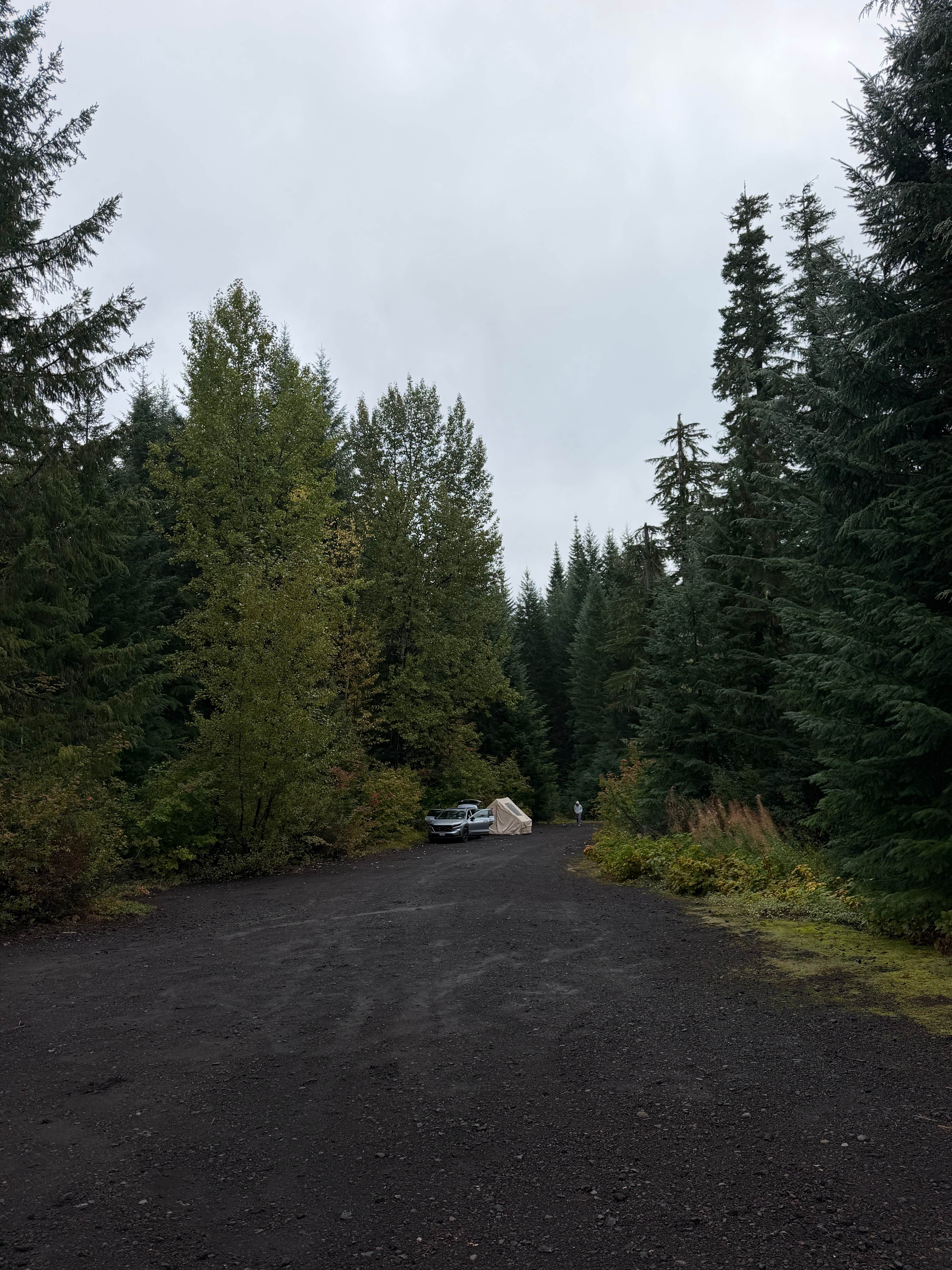 Camping near Clear Lake Resort: beyond lava lake sno park, Camp Sherman, Oregon
