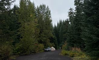Anastasiia D.'s photo of a dispersed camping area at beyond lava lake sno park near Blue River, OR