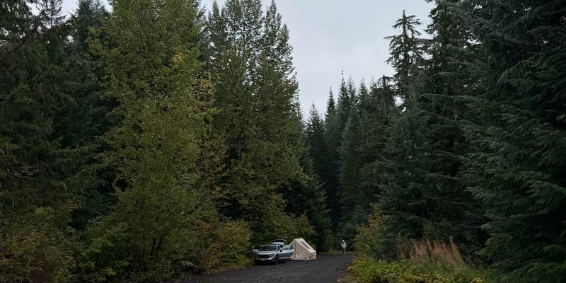 Camper submitted image from beyond lava lake sno park