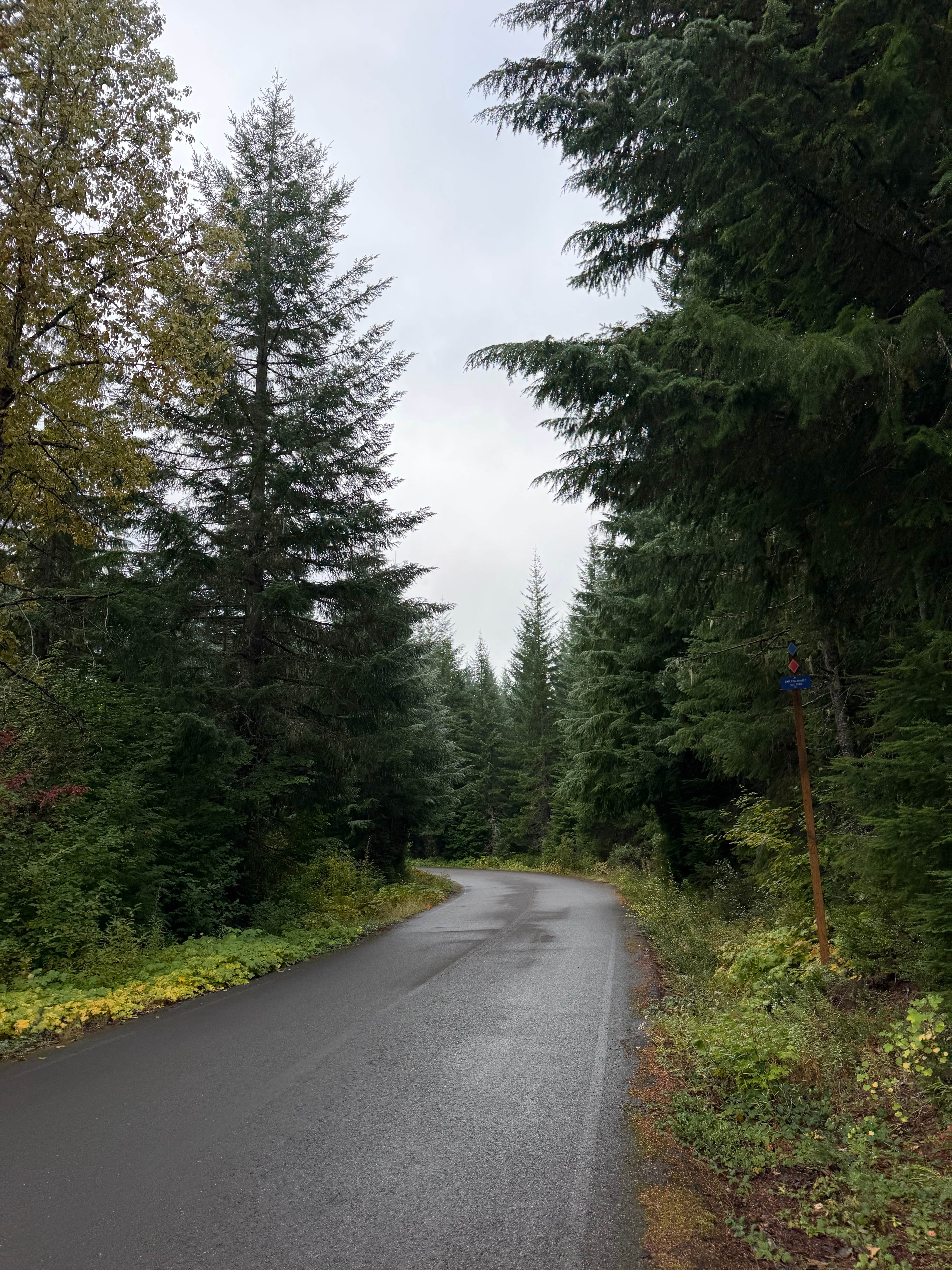 Camper-submitted photo at beyond lava lake sno park near Deschutes National Forest