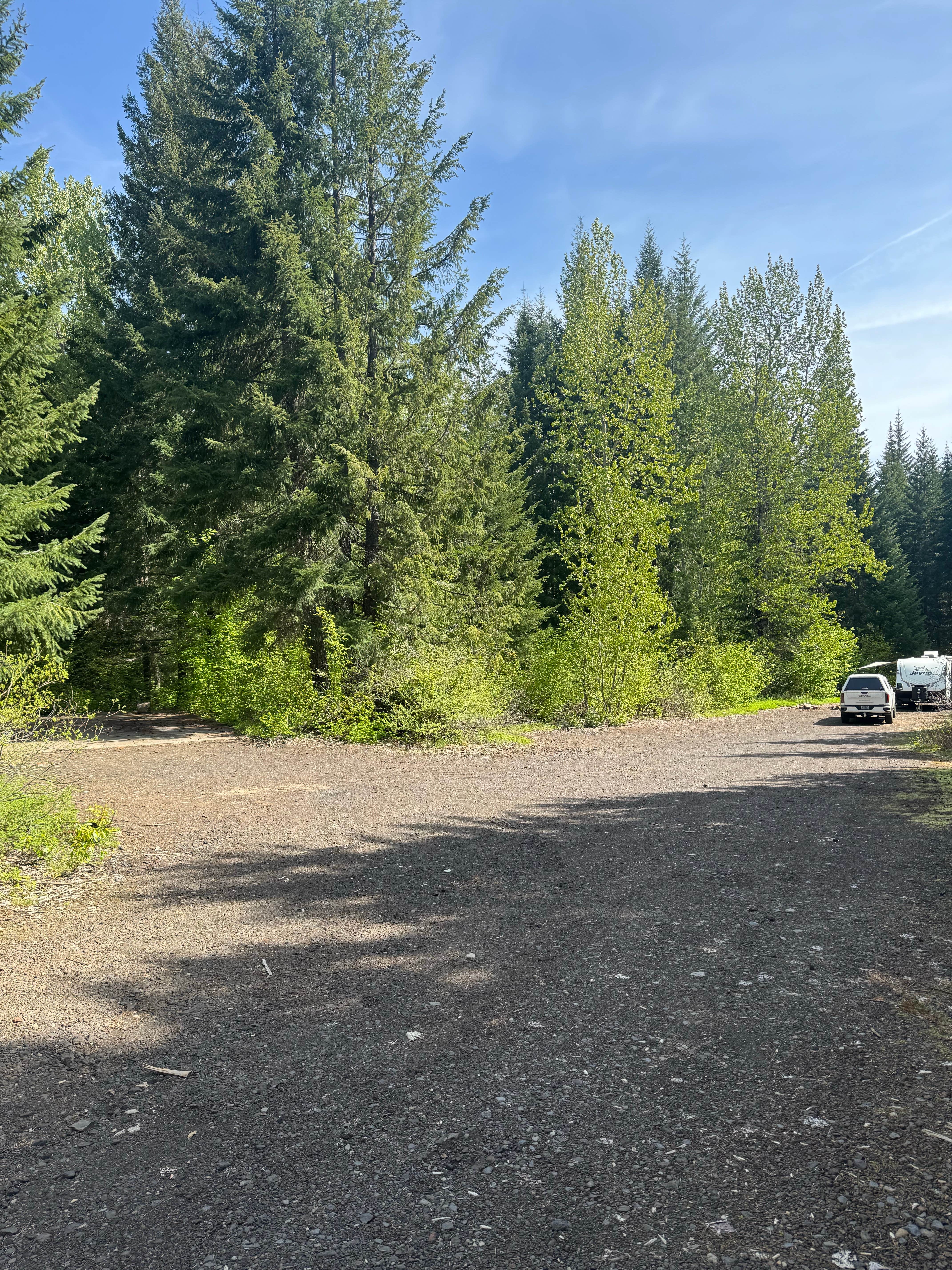 Camper-submitted photo at beyond lava lake sno park near Gates, OR