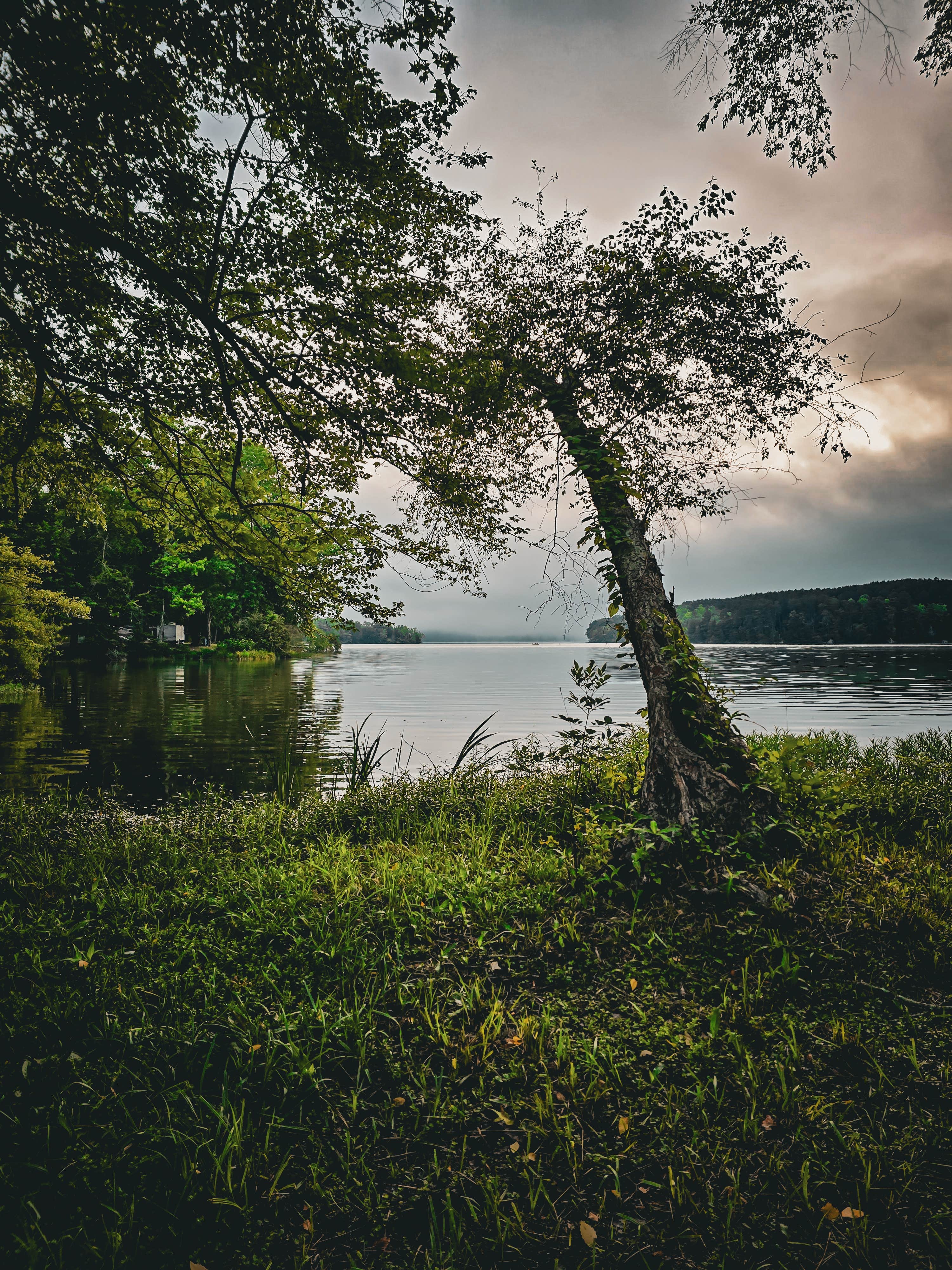 Nicholas's photo of a dispersed camping area at Bi-Color Campground (Catoosa WMA) near La Follette, TN